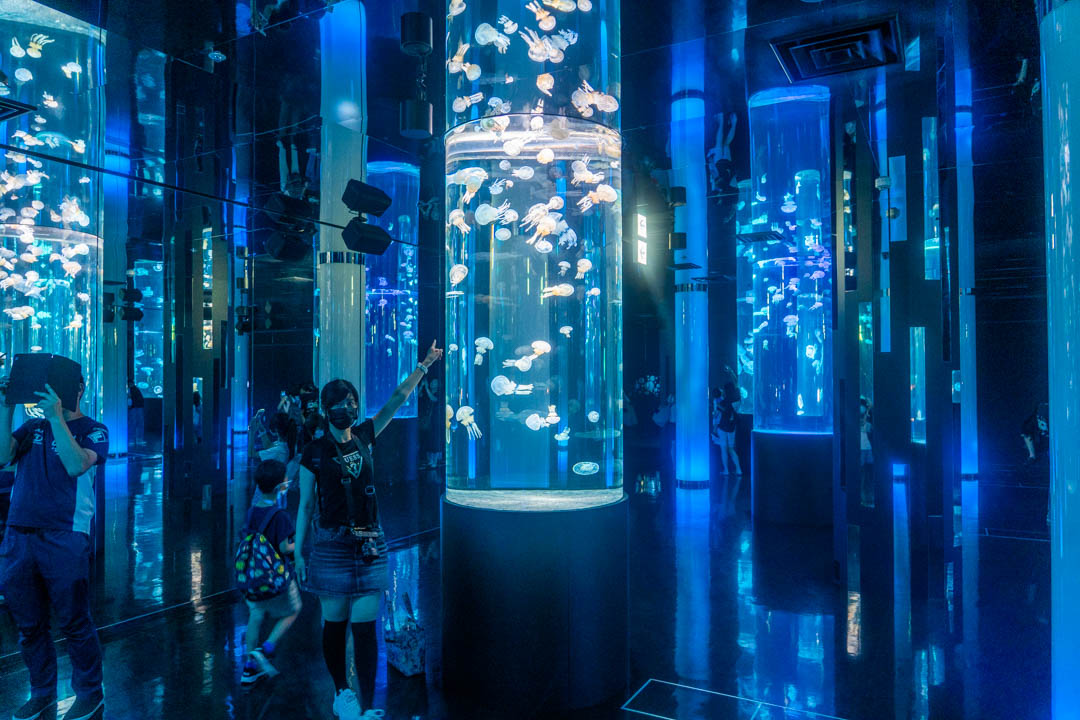 DMM水族館