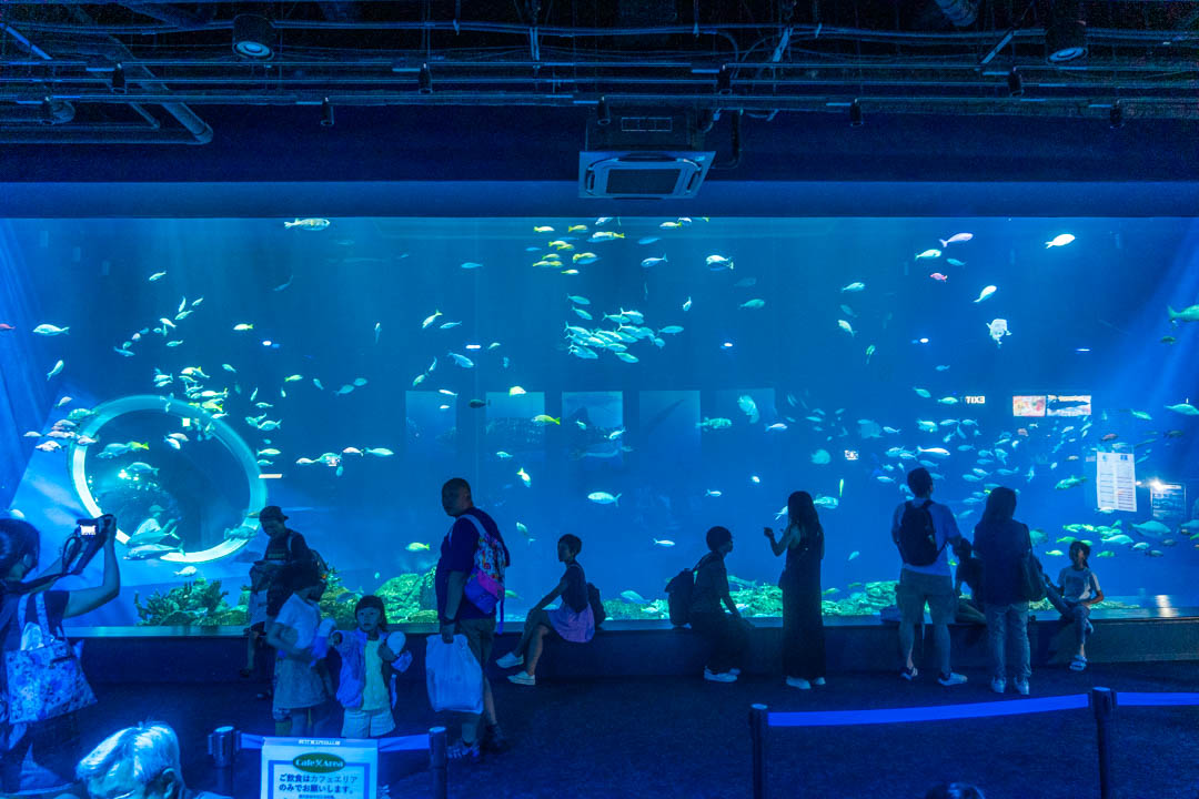 DMM水族館
