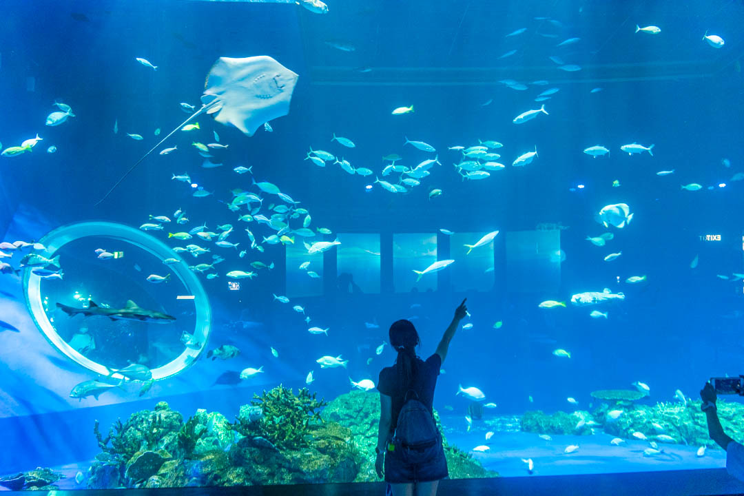 DMM水族館