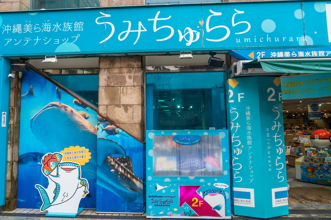 國際通必買
