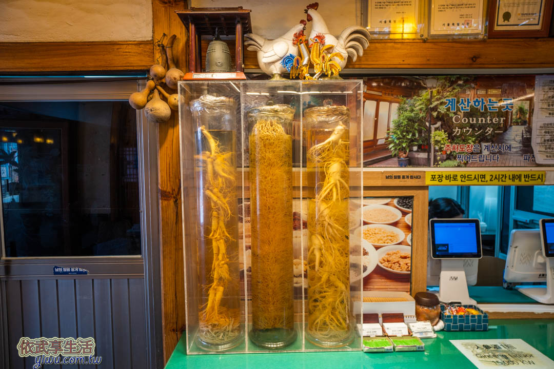 土俗村蔘雞湯
