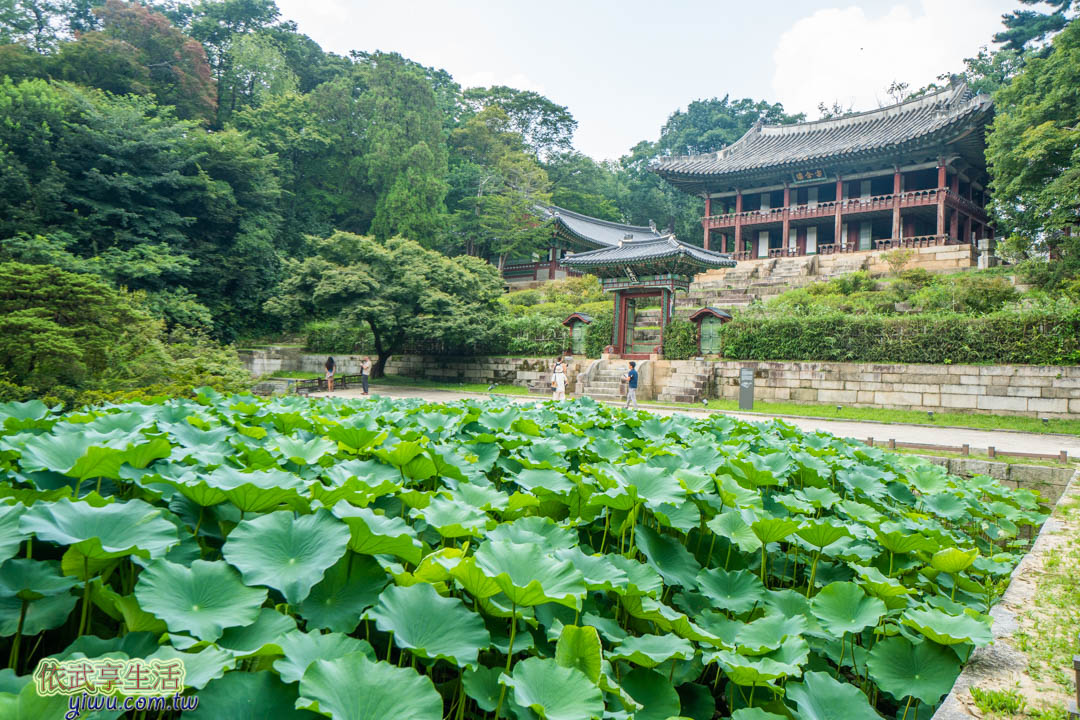 昌德宮秘苑
