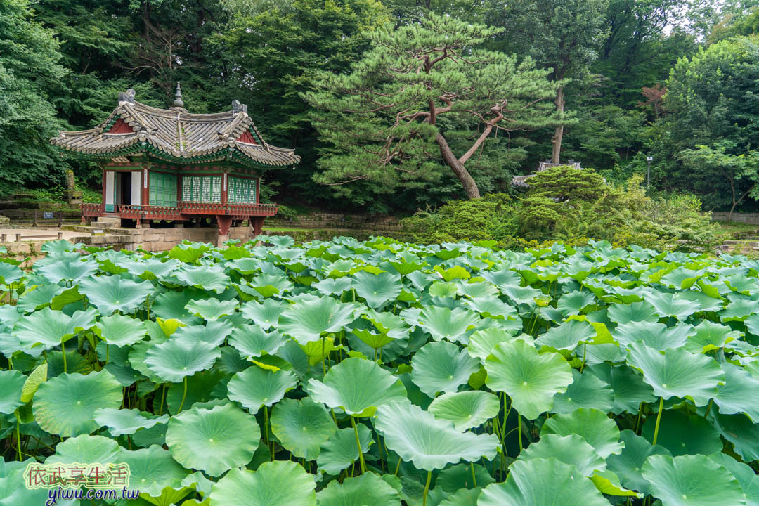 昌德宮