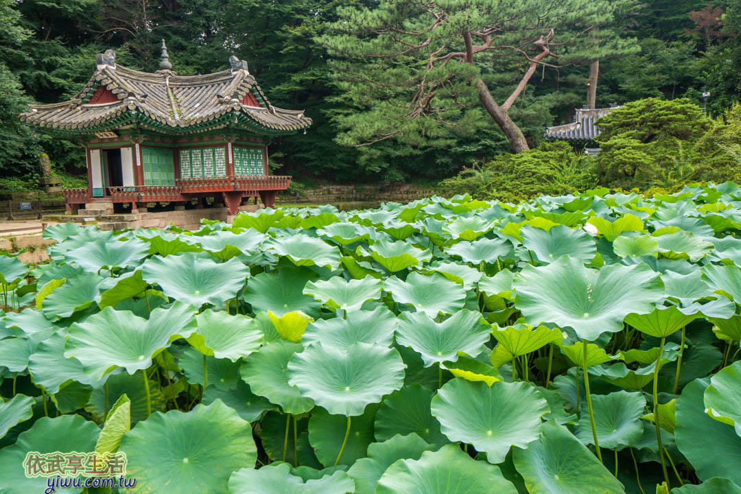 昌德宮秘苑