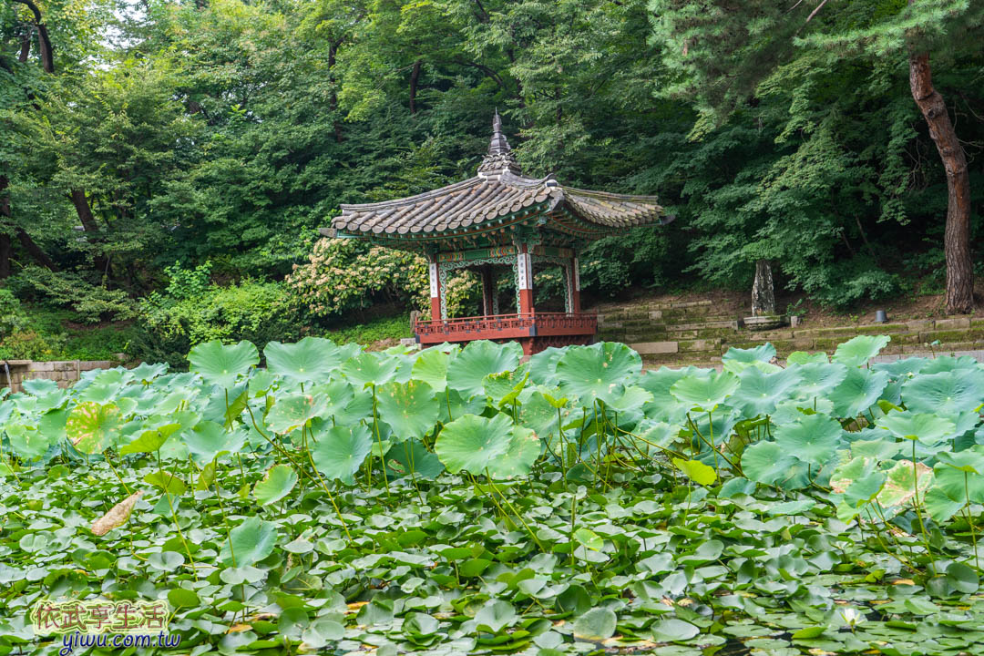 昌德宮秘苑