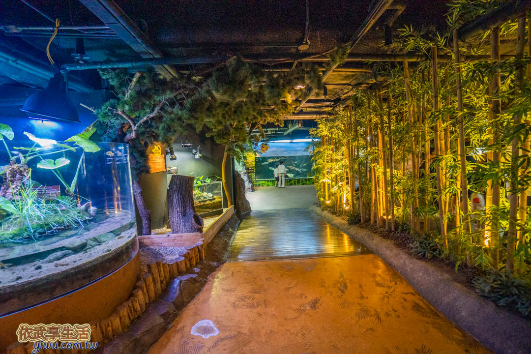 COEX水族館