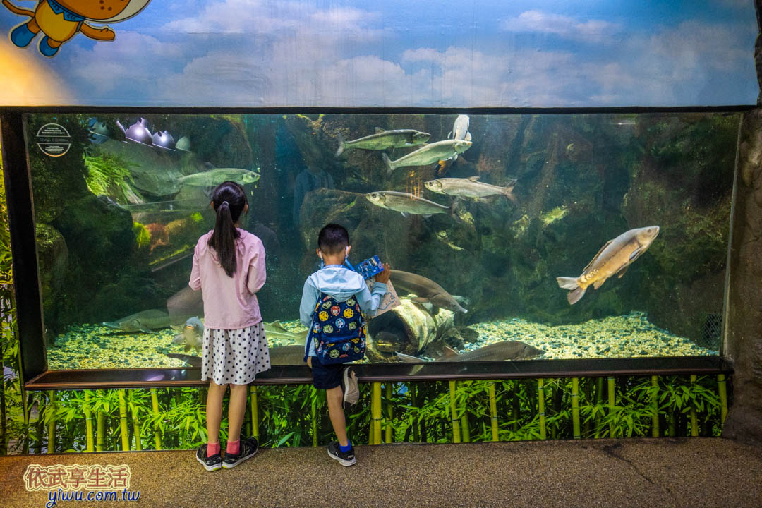 COEX水族館