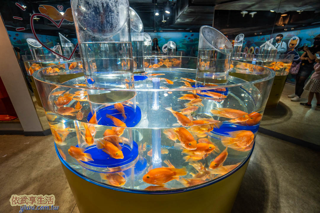 COEX水族館