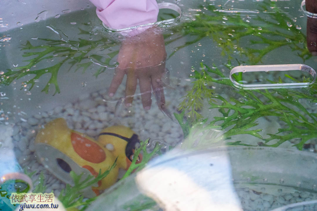 COEX水族館