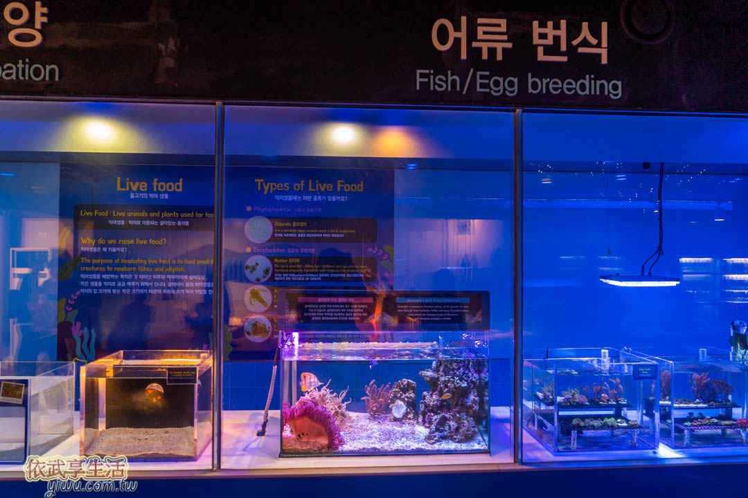 COEX水族館