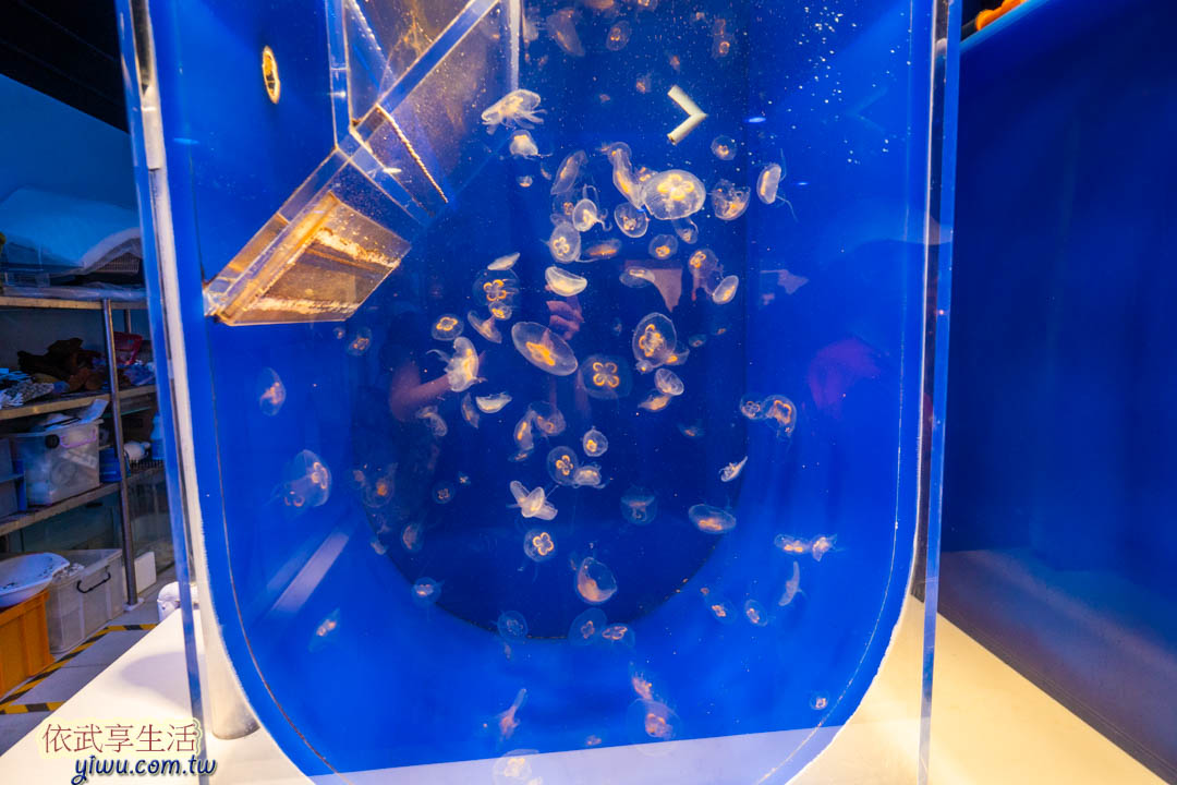 COEX水族館