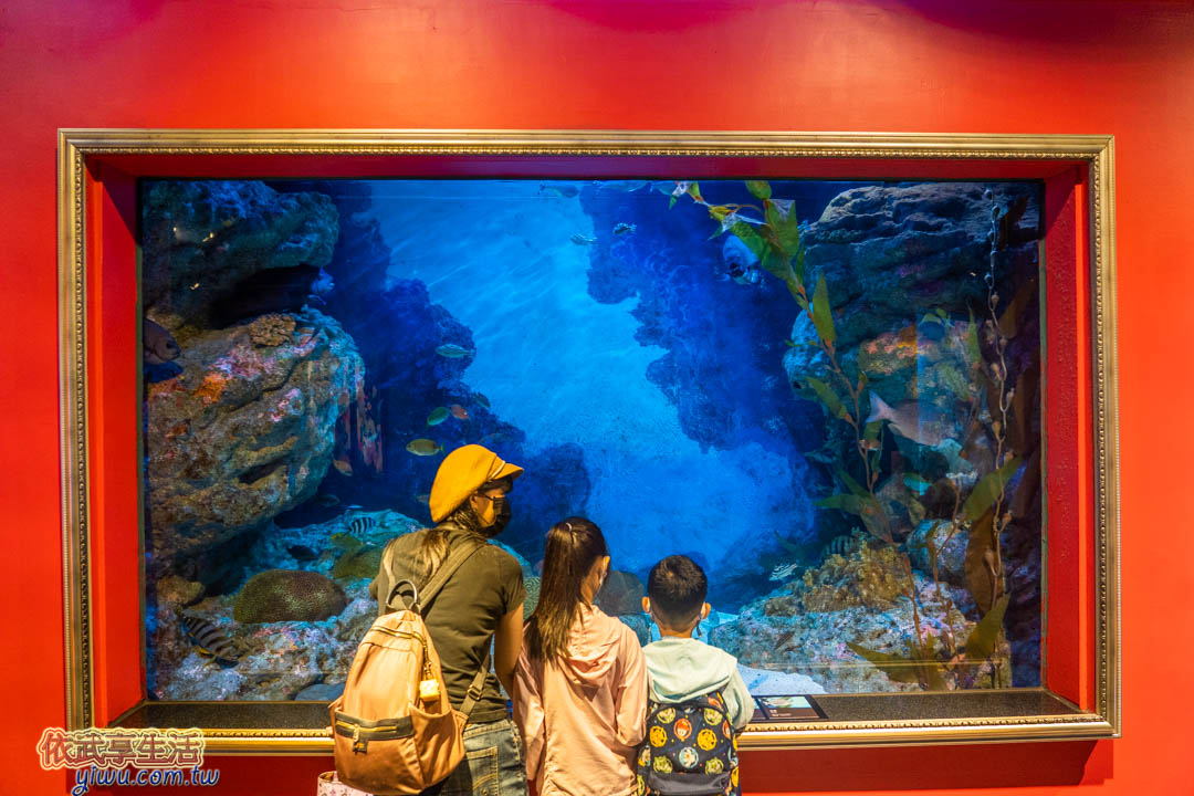 COEX水族館
