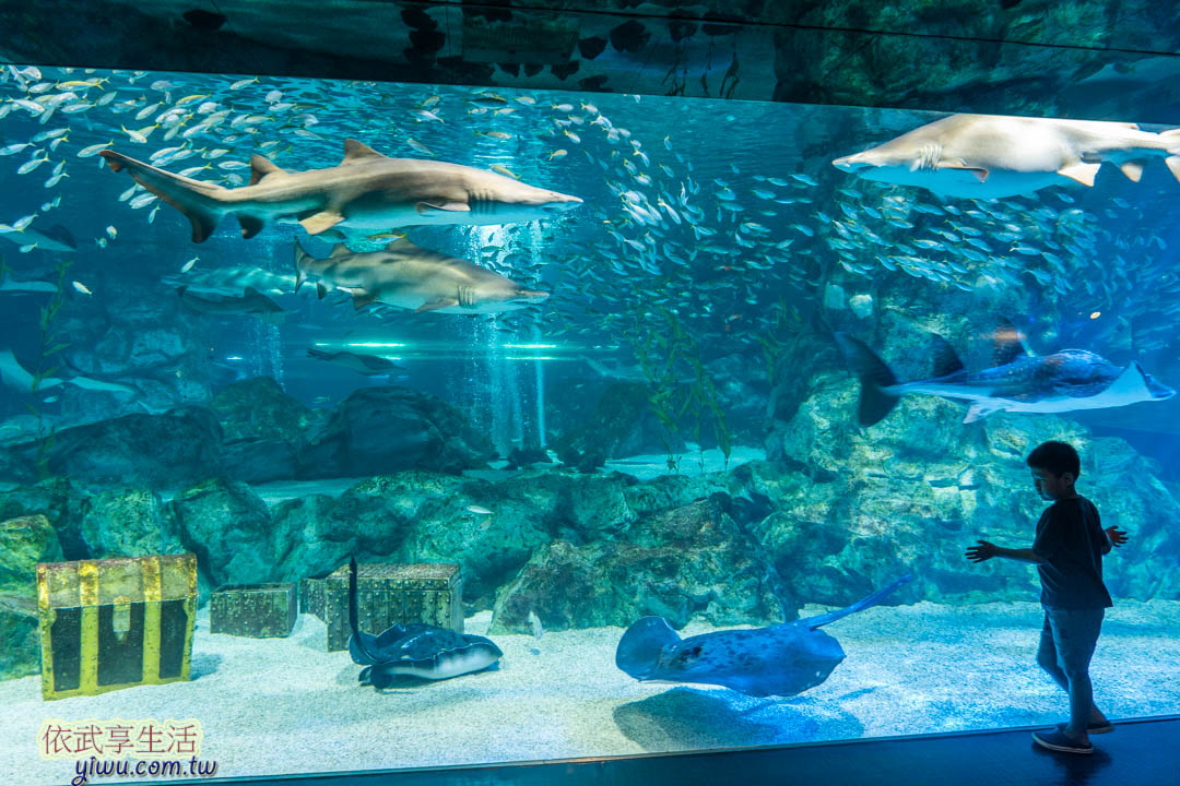 COEX水族館