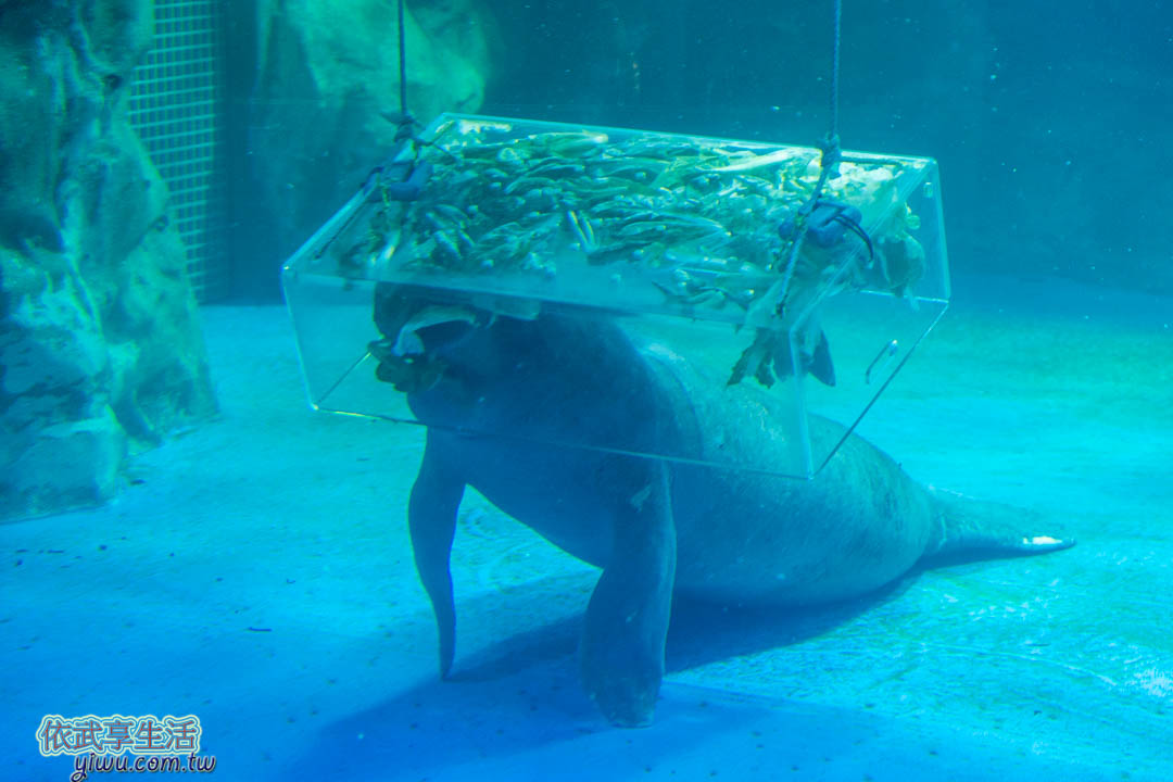 COEX水族館