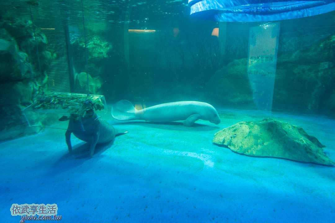 COEX水族館