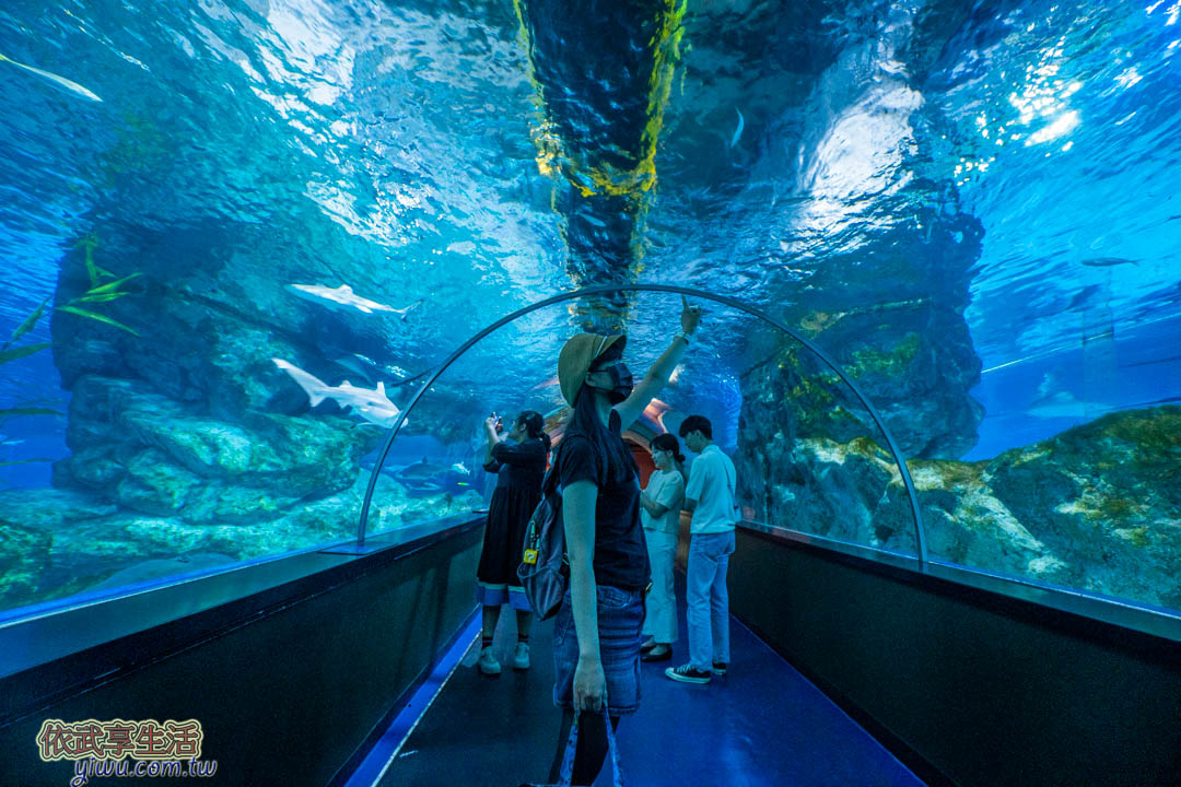COEX水族館