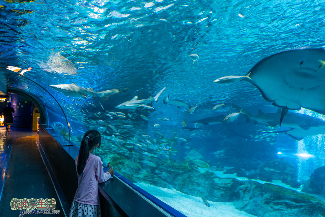 COEX水族館