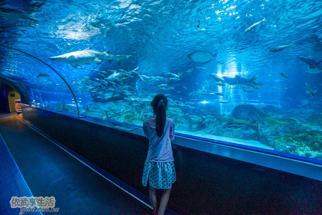 COEX水族館