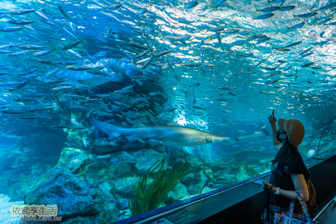COEX水族館