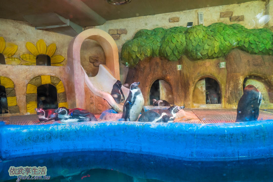 COEX水族館