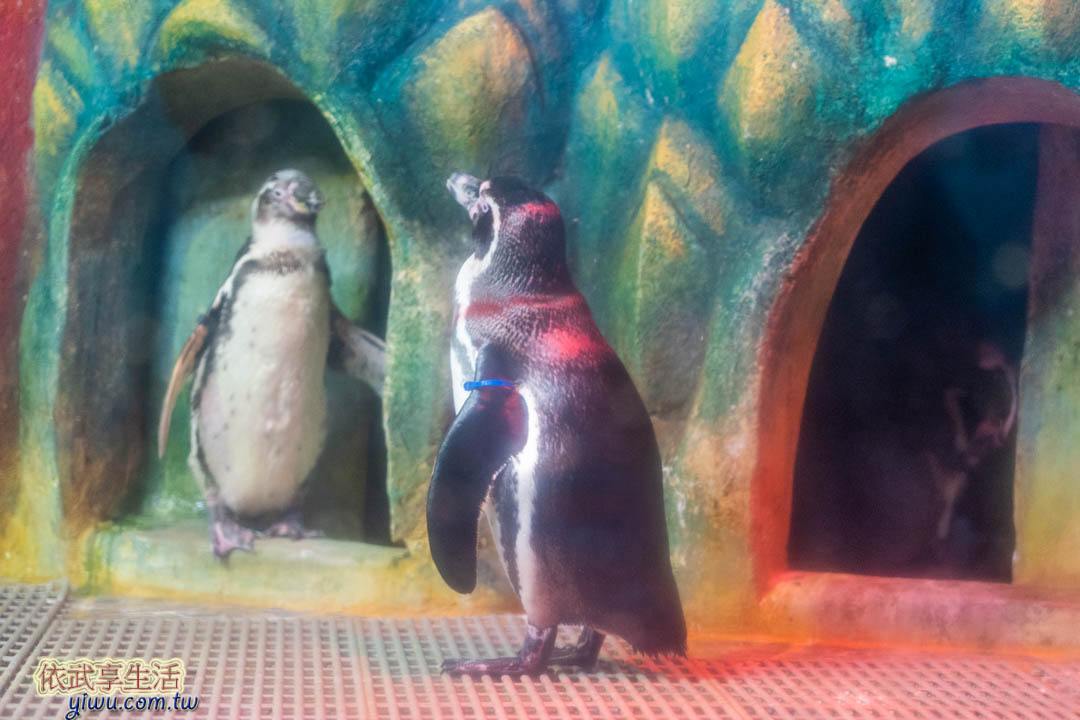 COEX水族館