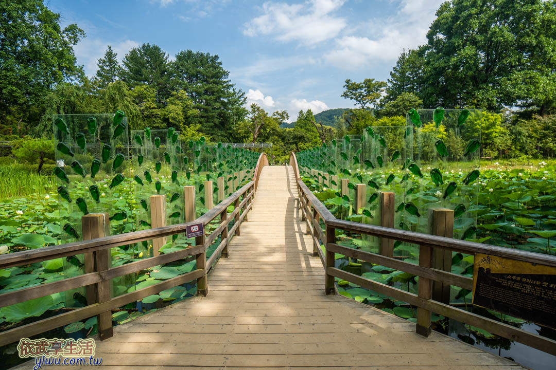 南怡島一日遊