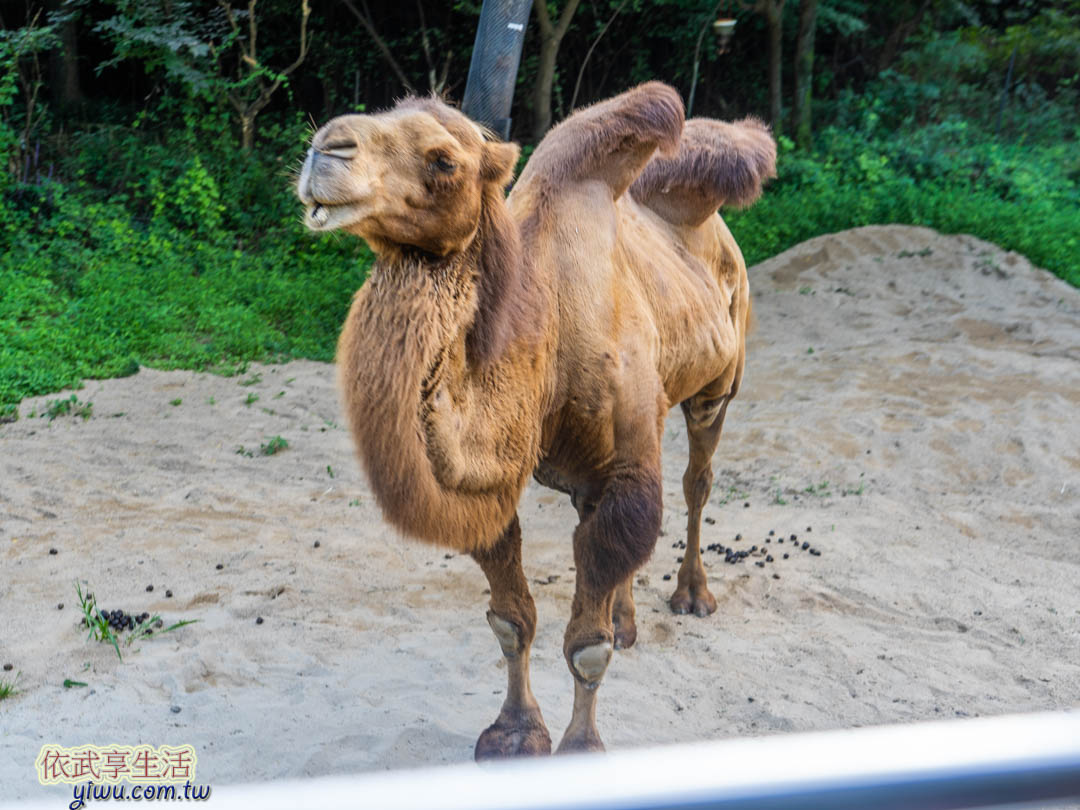 愛寶樂園