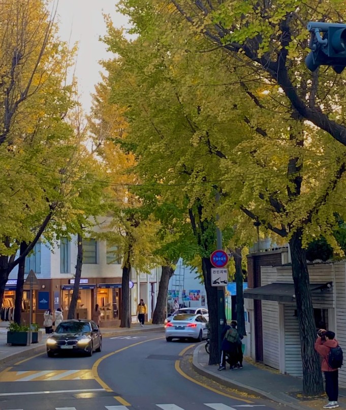 三清洞