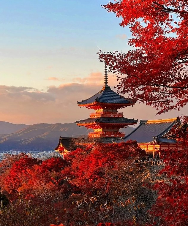 京都景點2024
