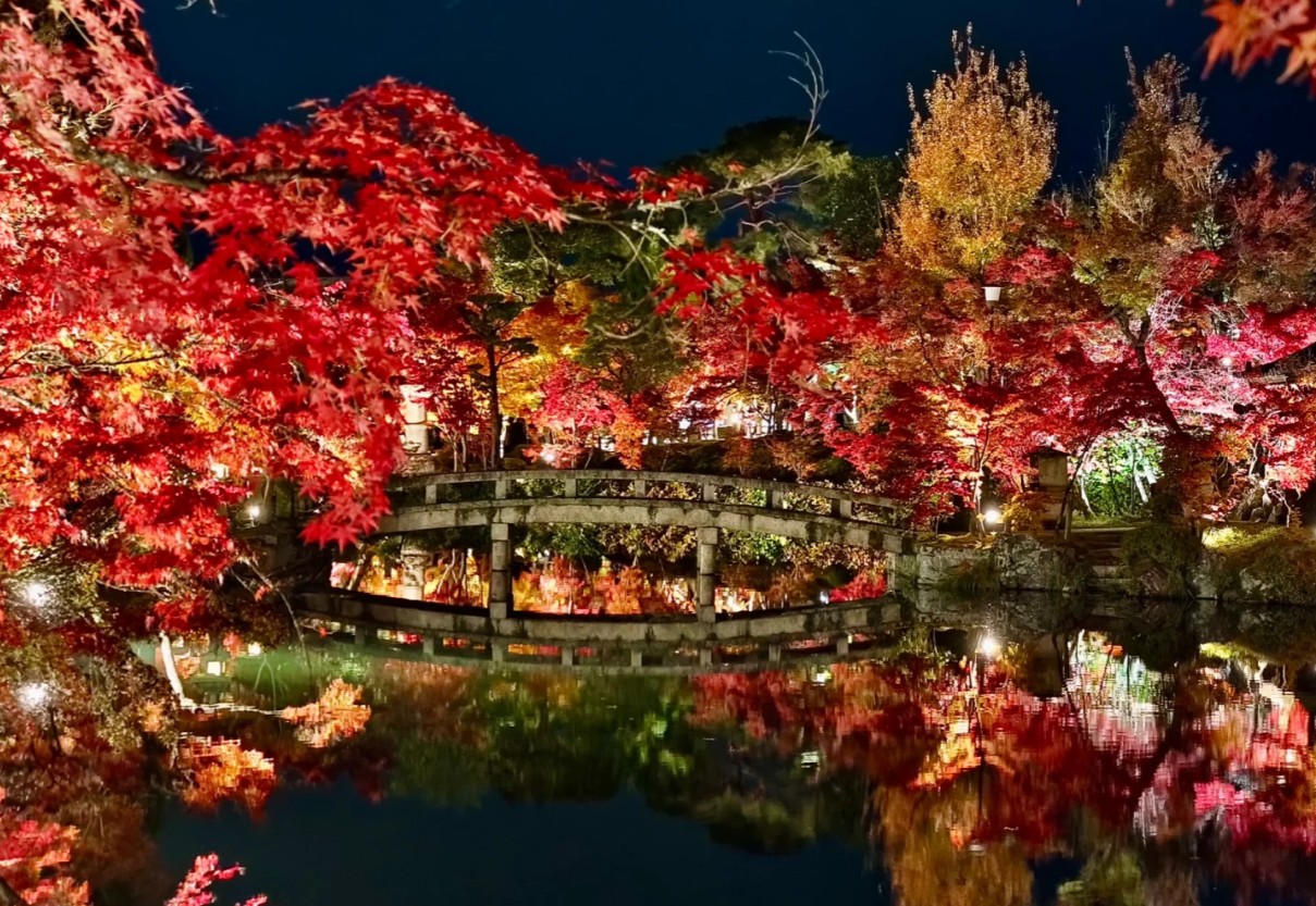 京都景點2024