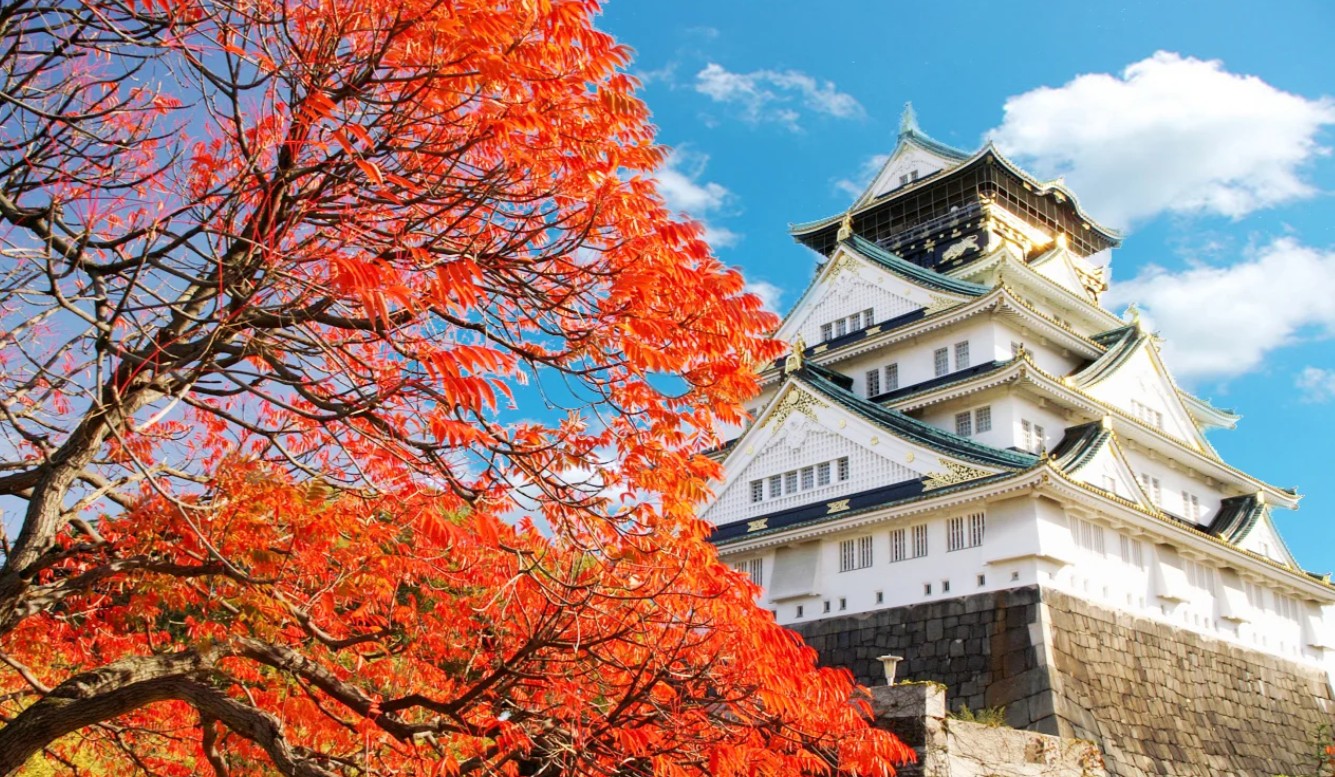 日本賞楓