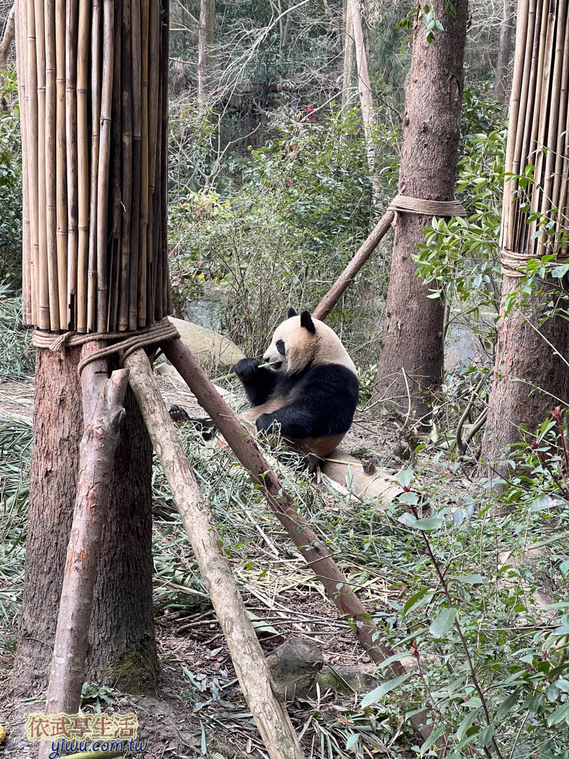 成都景點