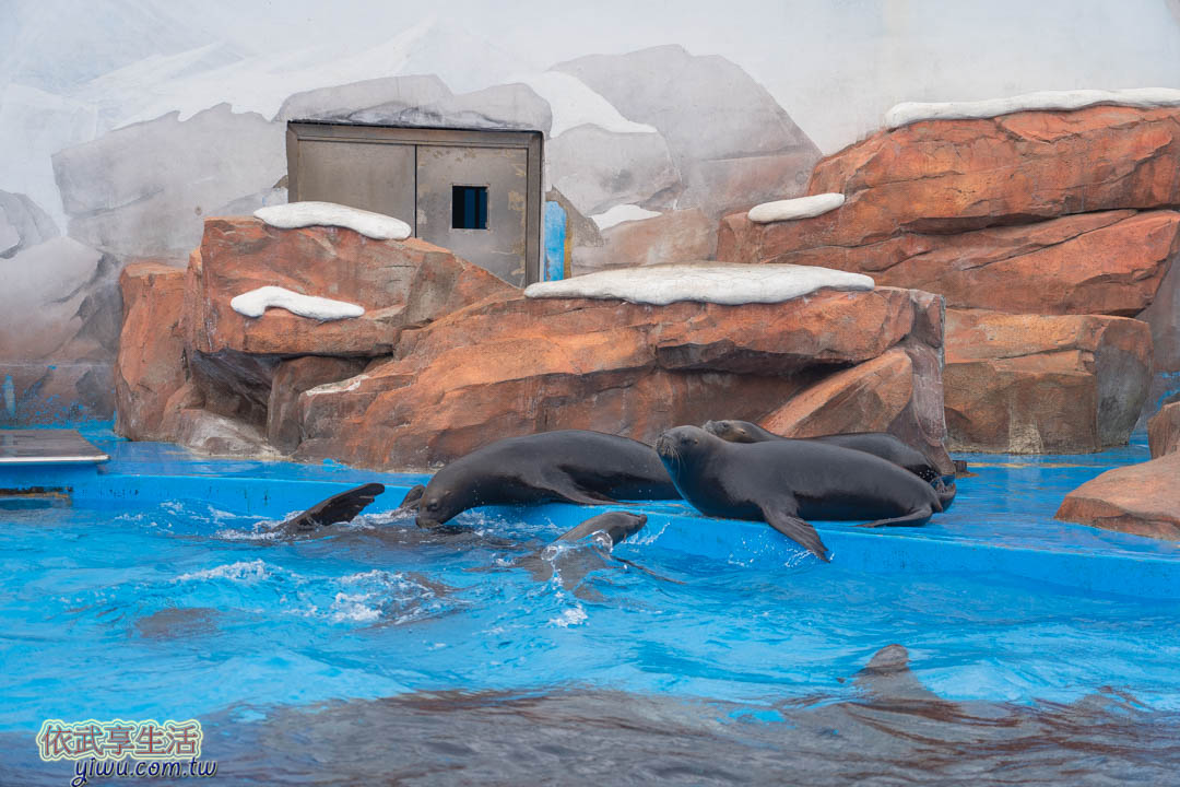 上海海昌海洋公園