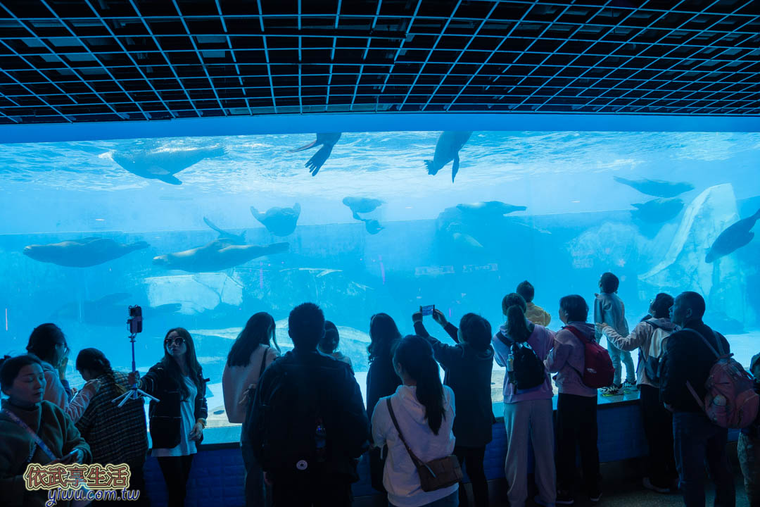 上海海昌海洋公園