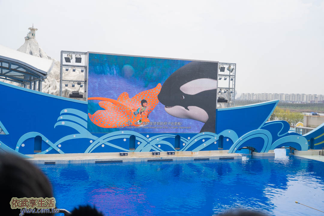 上海海昌海洋公園