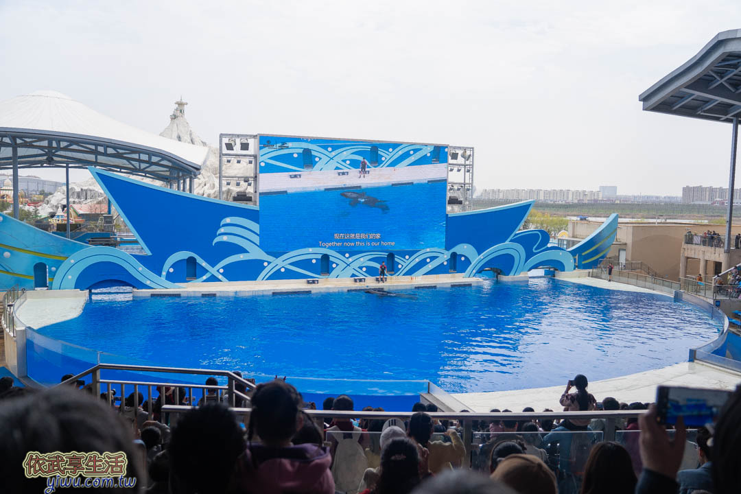 上海海昌海洋公園