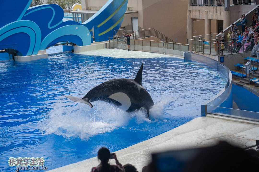 上海海昌海洋公園