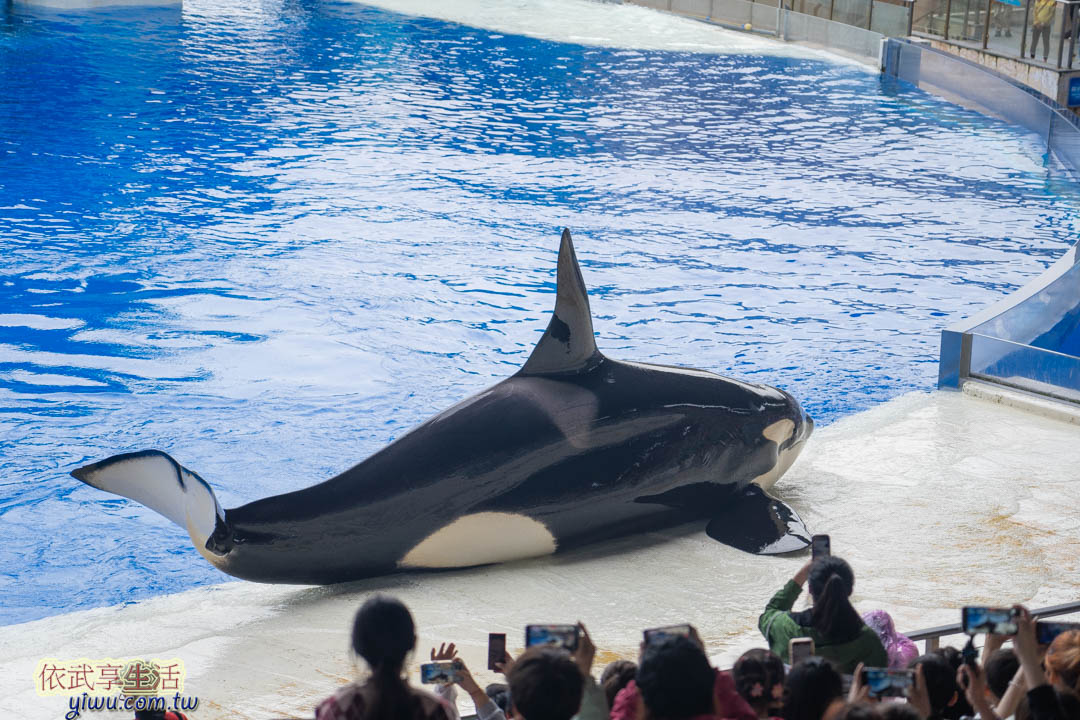 上海海昌海洋公園