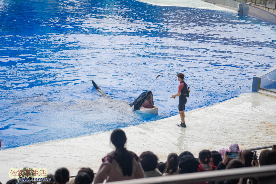 上海海昌海洋公園