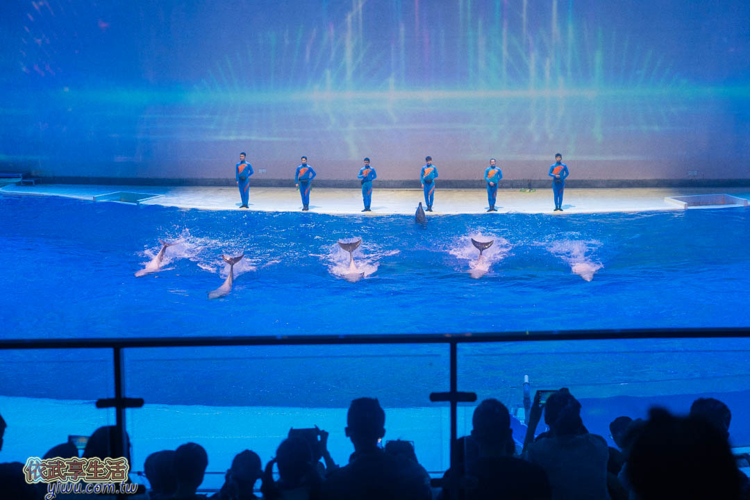上海海昌海洋公園