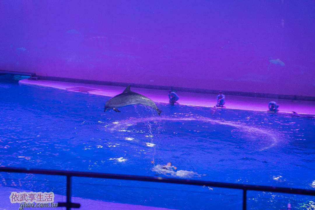 上海海昌海洋公園