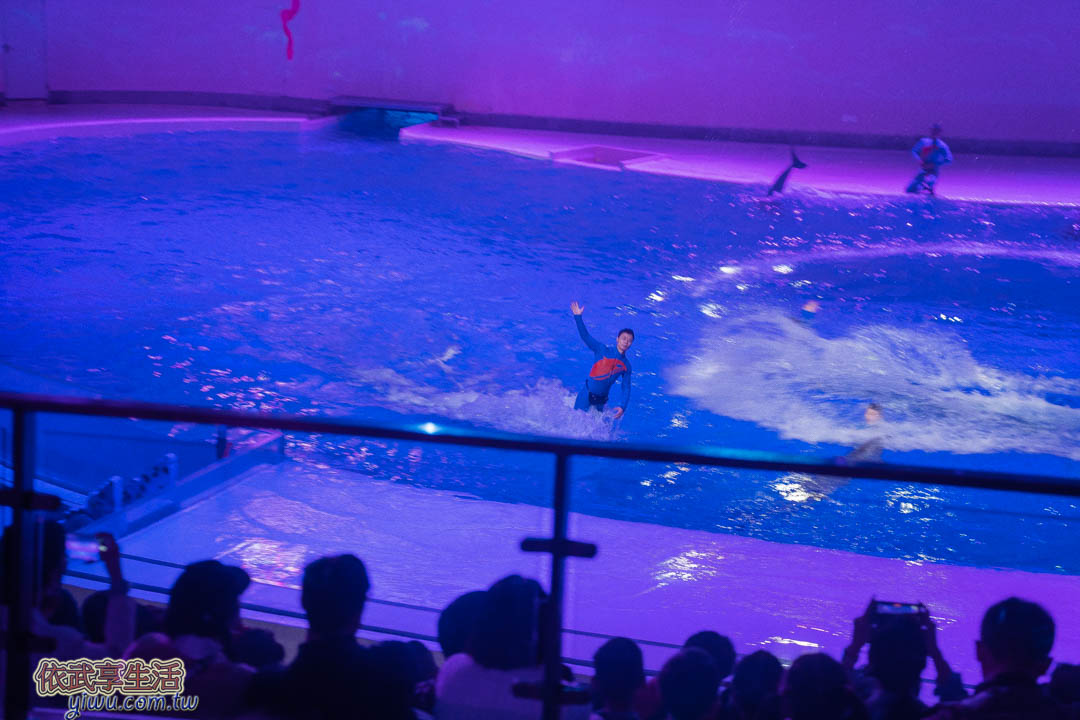 上海海昌海洋公園
