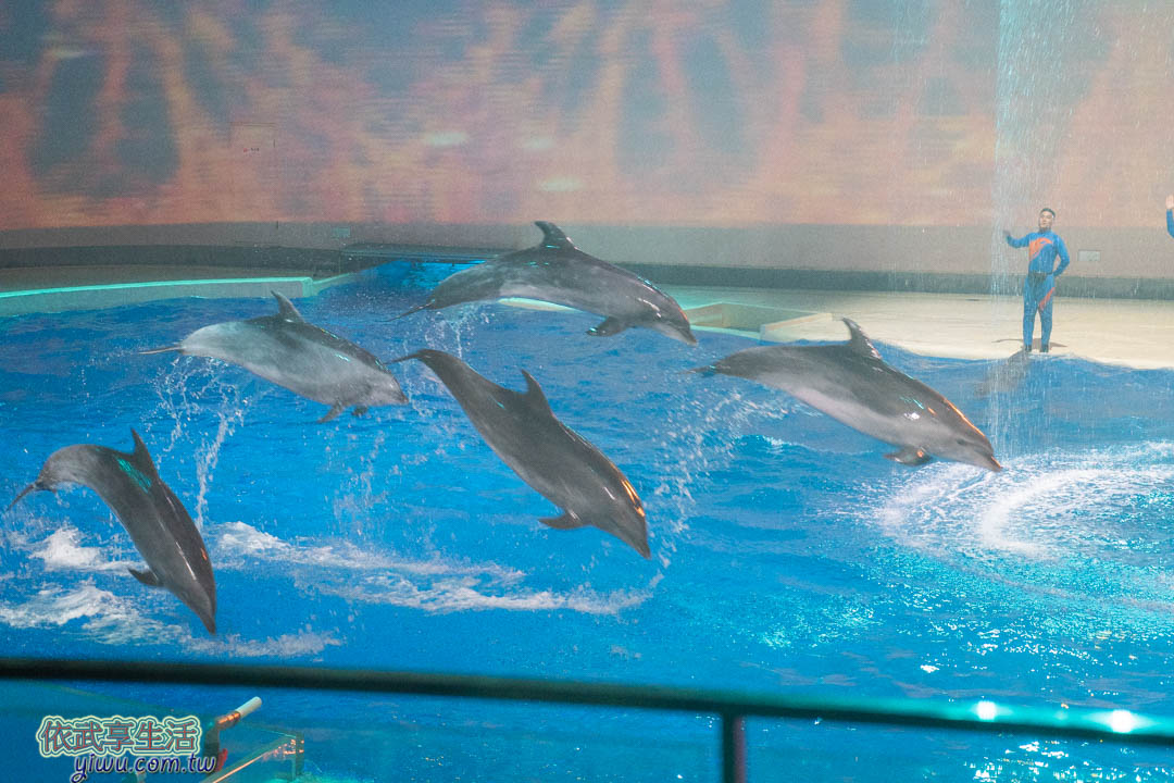 上海海昌海洋公園