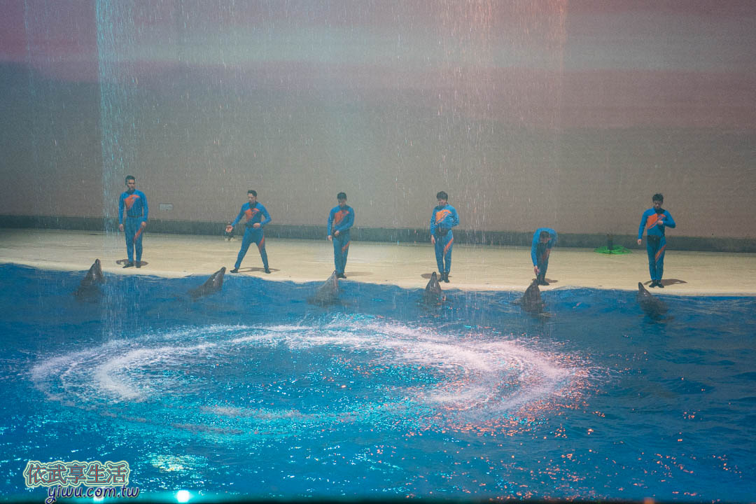 上海海昌海洋公園