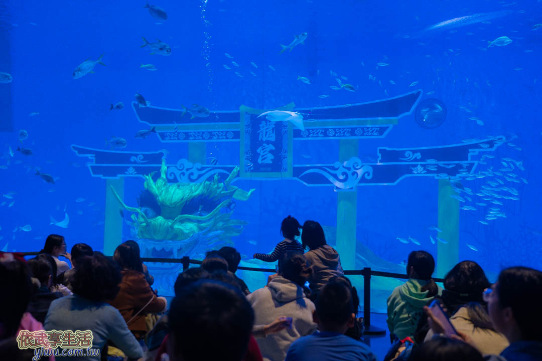 上海海昌海洋公園