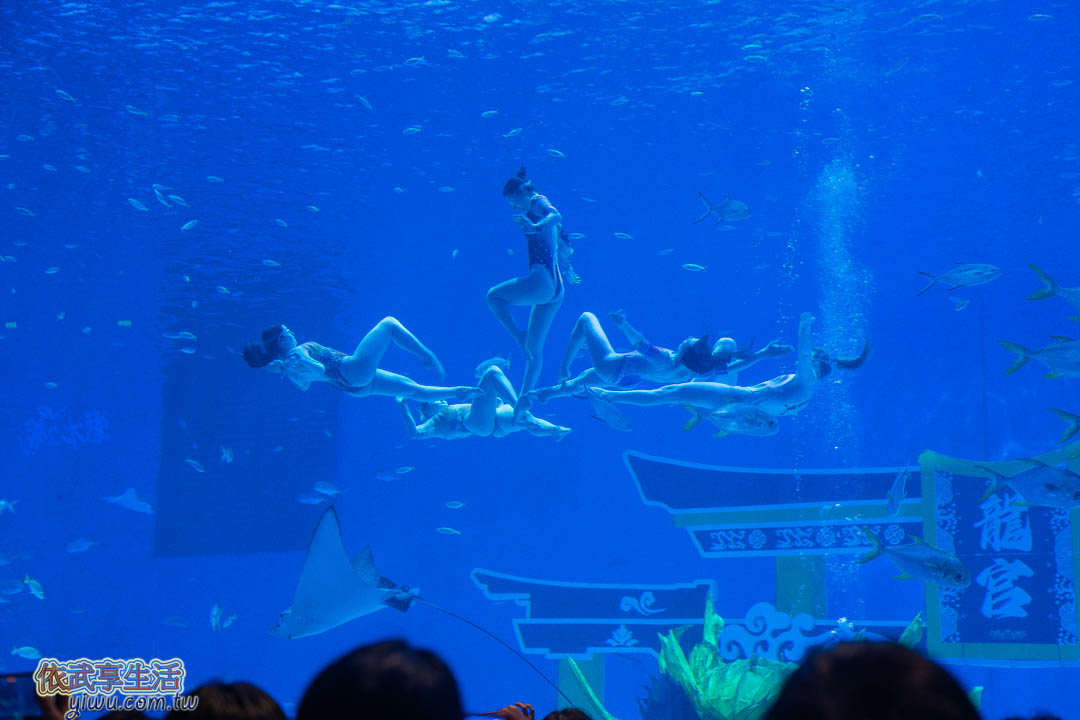 上海海昌海洋公園