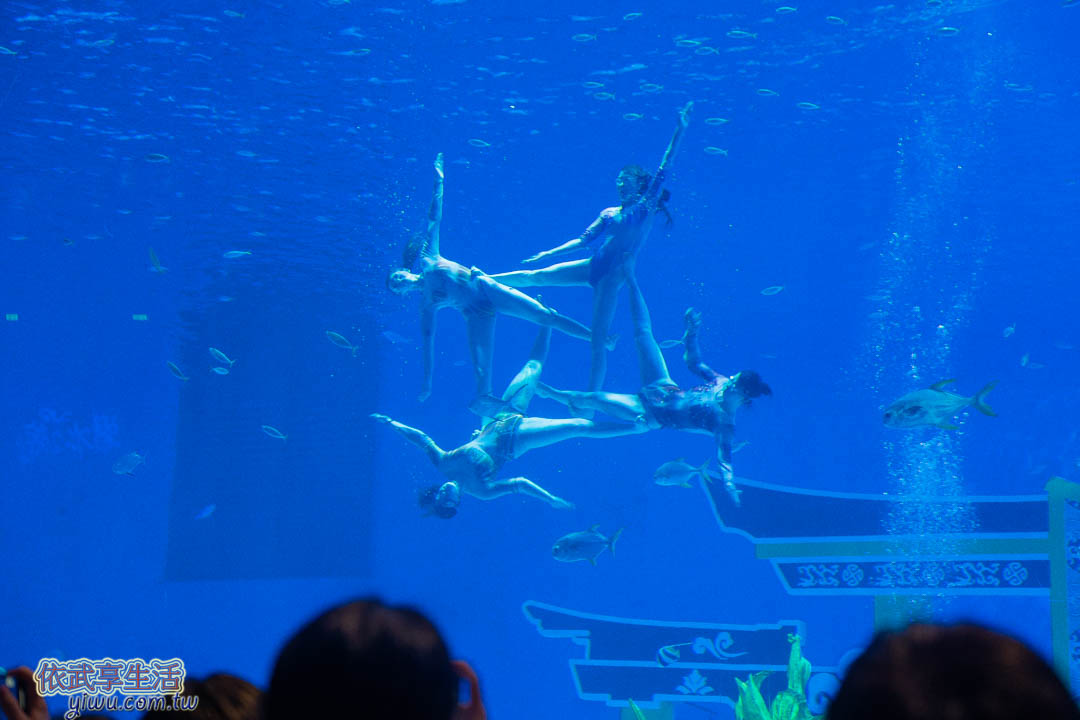 上海海昌海洋公園