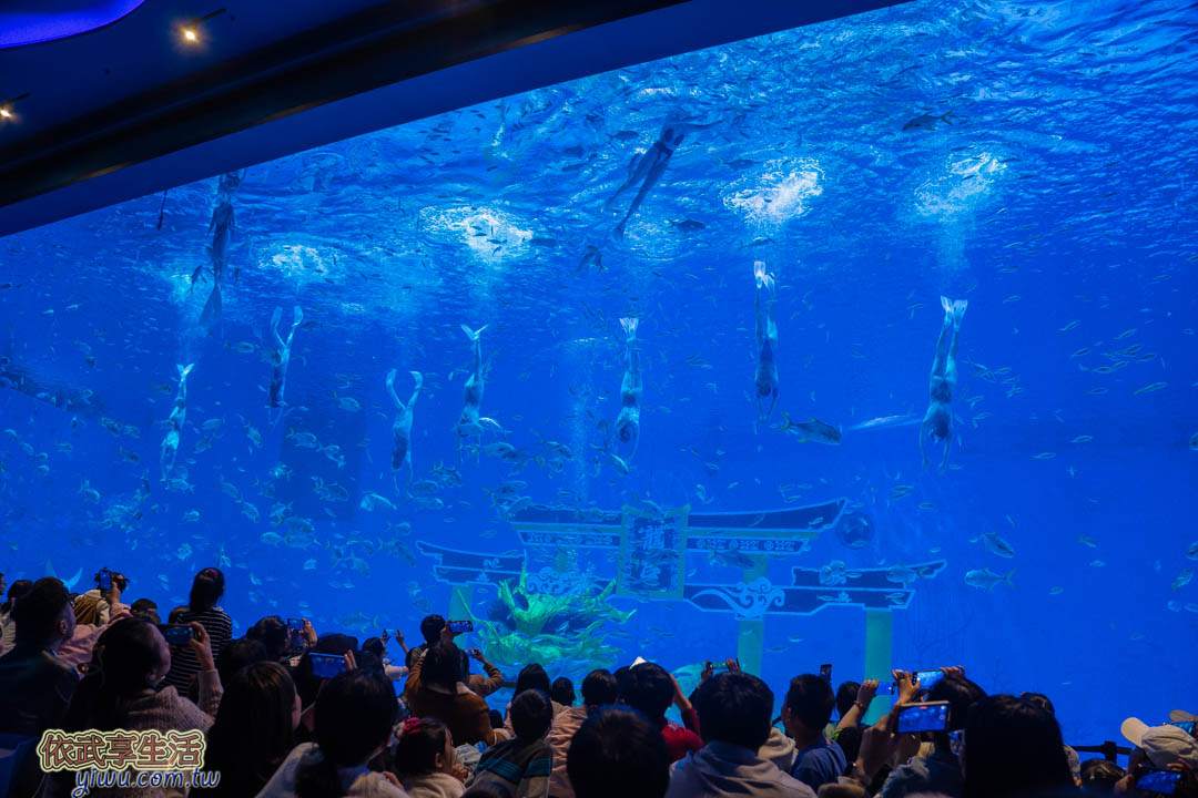 上海海昌海洋公園