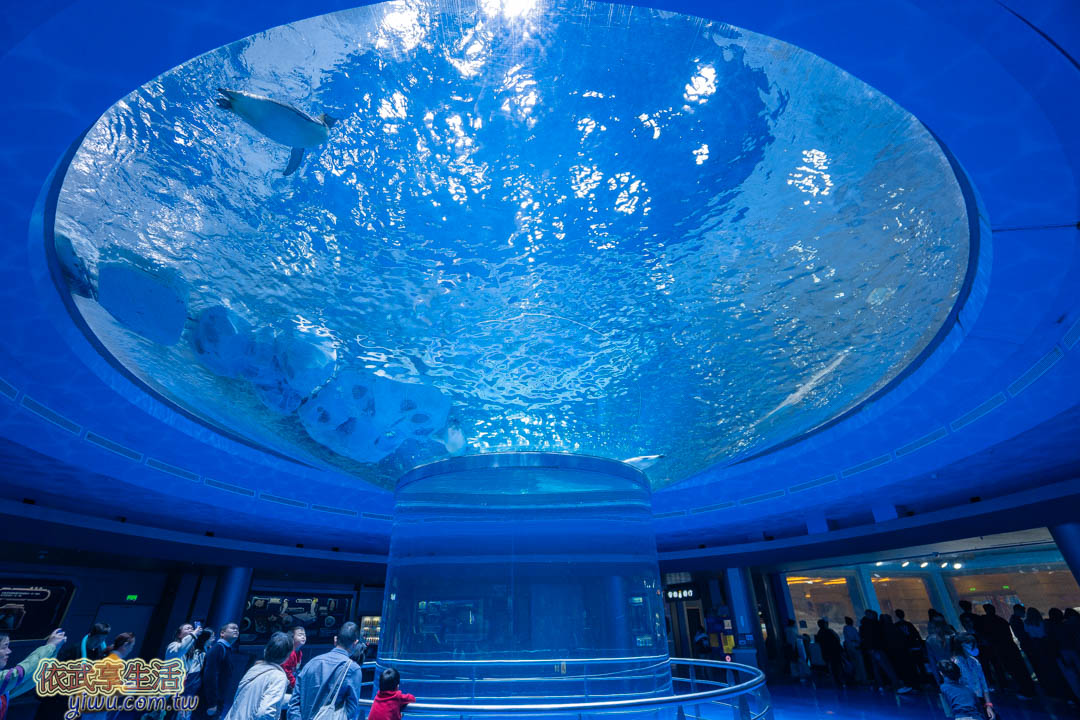 上海海昌海洋公園