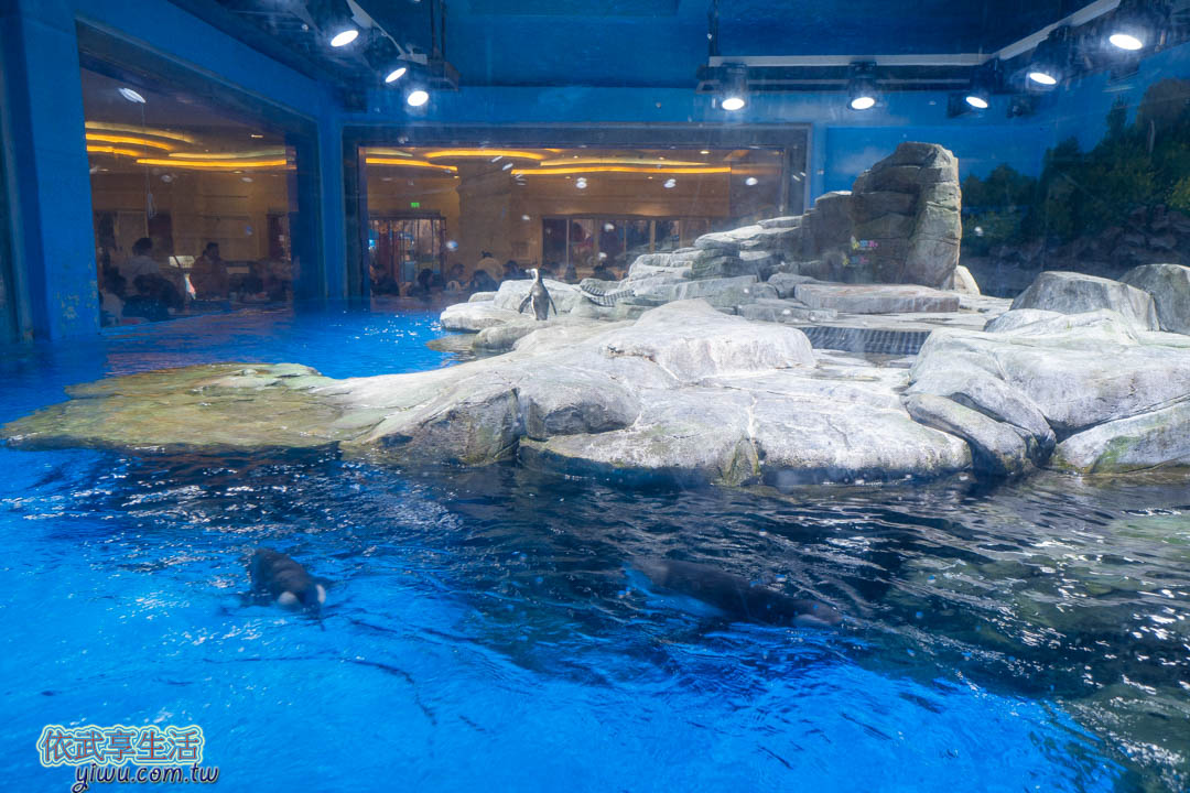 上海海昌海洋公園